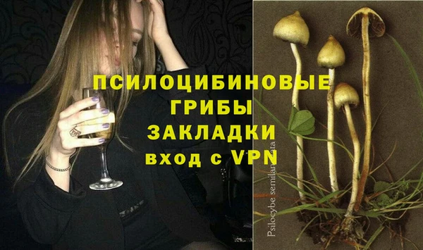 а пвп мука Богданович