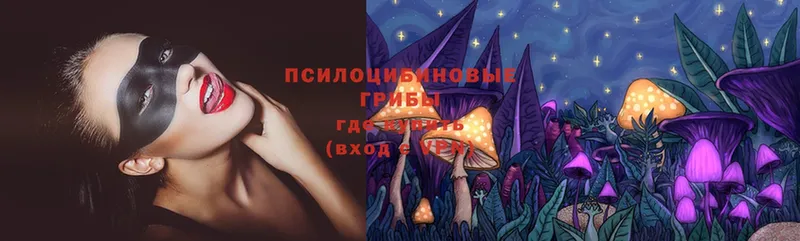 Галлюциногенные грибы MAGIC MUSHROOMS  mega tor  Мичуринск 